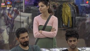Read more about the article Bigg Boss 14 Episode 7 October 2020 Written Updates – Day 4 Happenings, Nikki Tamboli vs all, Sid Island Task