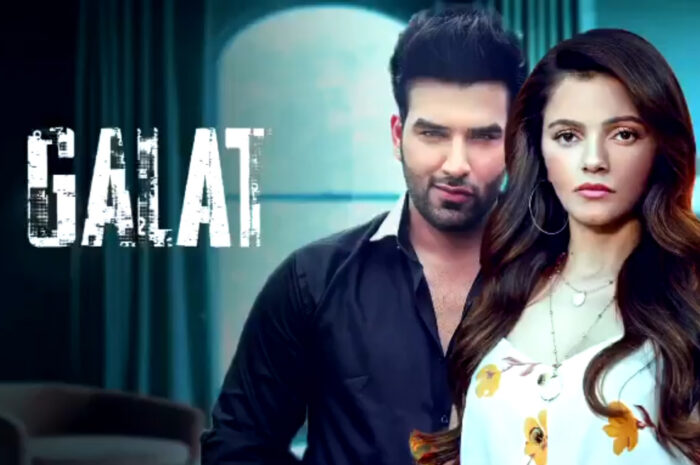 Asees Kaur’s Galat Feat Rubina Dilaik and Paras Chhabra Song Lyrics & Video with Full Details
