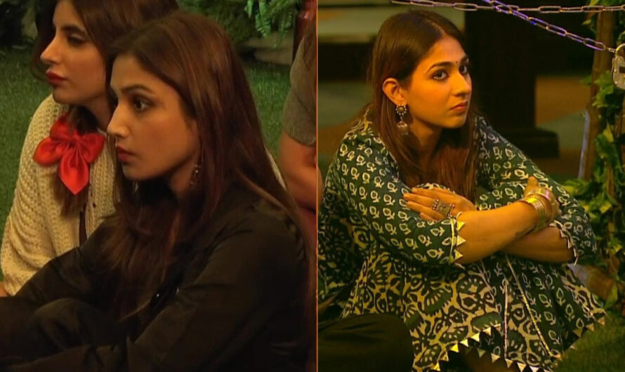 Bigg Boss 15 Latest Scoop – Donal Bisht and Vidhi Pandya evicted from the house – Full Details