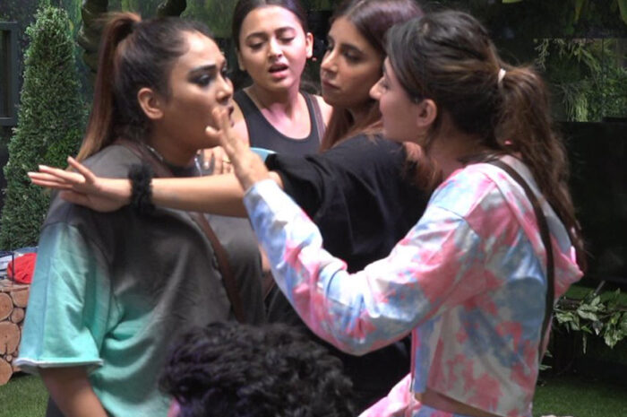 Bigg Boss 15 Day 2 and Day 3 Episode 4 Oct 2021 Written Updates – Pratik vs Jay Fight, Vishal Exposed Afsana Khan