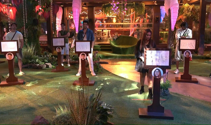 Bigg Boss 15 Nominations 11 Oct 2021 – Who Nominated Whom, How to Vote and Save Outside India – Full Details