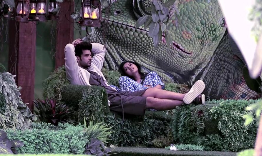 Bigg Boss 15 Spoilers 29 October 2021 Written Updates – Karan Kundrra confessed his love for Tejasswi Prakash