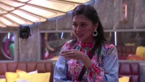 Read more about the article Bigg Boss 15 Day 33 Episode 3 Nov 2021 Written Updates – Tejasswi calls Shamita insecure, KaranNeeti shines again
