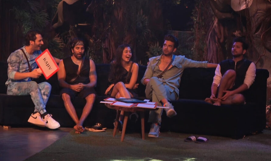 Bigg Boss 15 Latest Scoop – VIP housemates sent Rajiv Adatia to Jail – Full Details