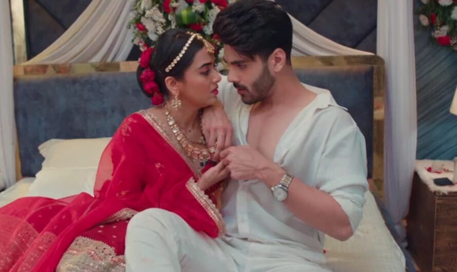 Naagin Season 6 Episode 9 Written Updates 12 March 2022 – Rishabh and Pratha suhagraat romance