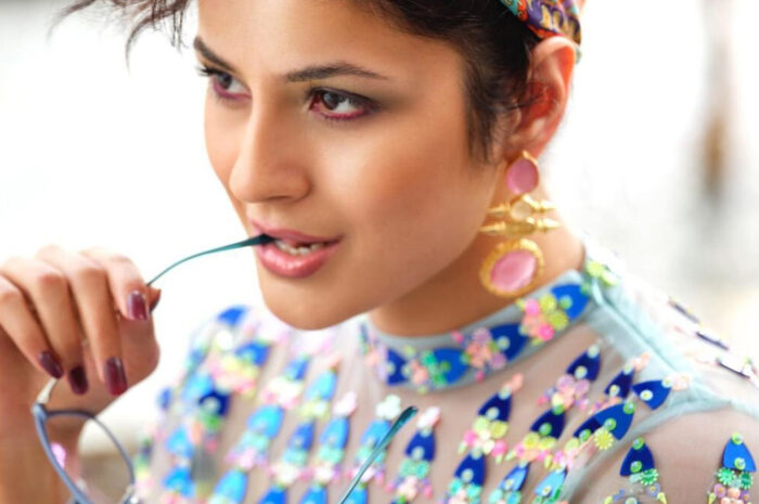 Check out photos of Shehnaaz Gill’s hot photoshoot by Dabboo Ratnani, featuring retro ’70s looks!