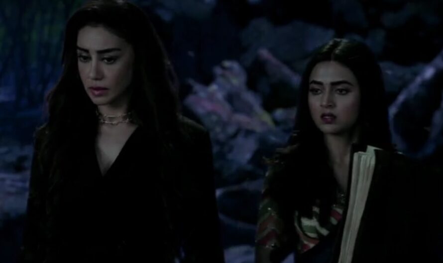 Naagin Season 6 Episode 24 Written Updates 1 May 2022 – Pratha rescues Rishabh’s real mom