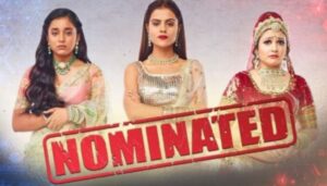 Read more about the article Bigg Boss 16 Week 6 Elimination Prediction – Who will get evicted in Week 6 from BB16? – Full Details