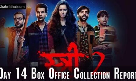 Stree 2 Day 14 Box Office Collection Complete Report