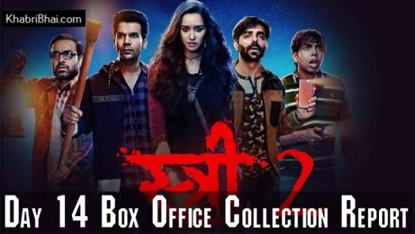Stree 2 Day 14 Box Office Collection Complete Report