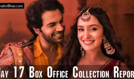 Stree 2 Day 17 Box Office Collection Complete Report