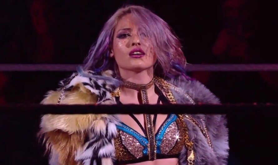 What Went Down on WWE NXT 10 September 2024? Full Results and Major Highlights!