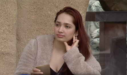 Aditi Mistry Evicted from the BB18 house photo