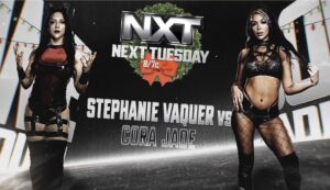 Read more about the article WWE NXT 24 Dec 2024 Spoilers: Full Results, Surprising Twists, and Major Announcements!