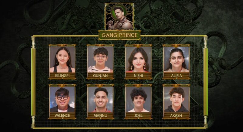 MTV Roadies Double Cross Gang Prince Narula complete final team selection to take on Journey