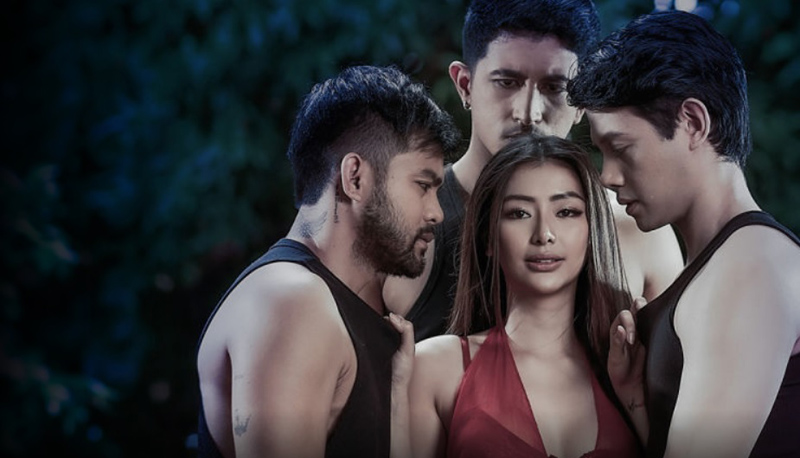 VMX Ligaw (2025) Robb Guinto along with her male co-stars poster