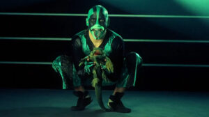 Read more about the article Mr. Iguana (Mexican Wrestler) Wiki Profile – Real Name, Birth Date, Girlfriend, Height, Weight, Career Highlights, and More