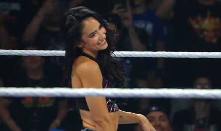 WWE Wrestlepalooza AJ Lee entering after the hot tag