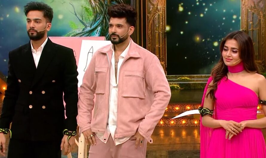 Pati Patni Aur Panga Season 1 Episode 29 (November 8, 2025) – Written Update, Laughter Chefs Season 3 Cast Joins the Fun, Winners, and Leaderboard Standings