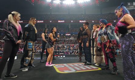 WWE RAW November 24, 2025 AJ Lee cutting promo with alongside her WarGames team