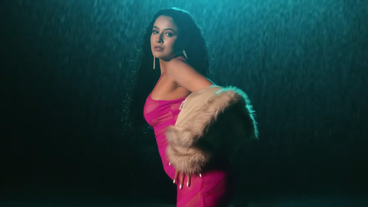 Shehnaaz Gill elegant look in Banje Daaru music video