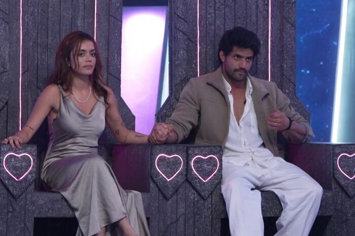 MTV Splitsvilla X6 (4th April 2026) Written Update: Episode 38 – Niharika Tiwari & Sorab Bedi Become the New Ideal Match | Major Elimination Twist